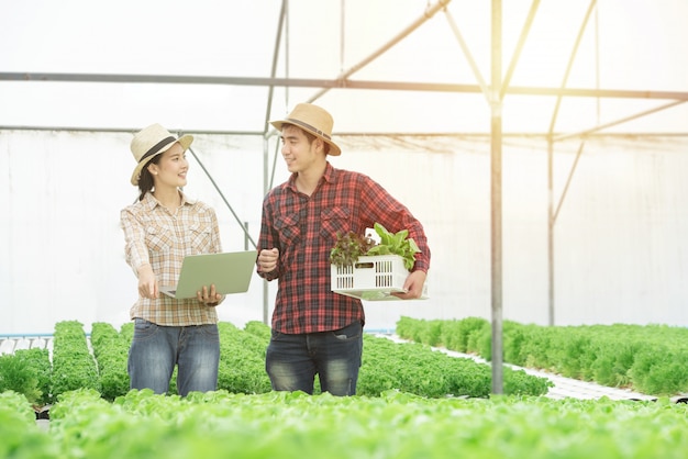 Conceito do cultivo, da jardinagem, da agricultura, da colheita e dos povos - par asiático novo com a caixa do computador verde do pc do carvalho e da tabuleta no orgânico hidropônico da estufa da exploração agrícola. Foto Premium