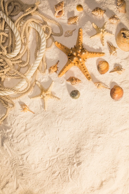 Conchas de gastrópodes de estrelas do mar e cordas na areia Foto gratuita