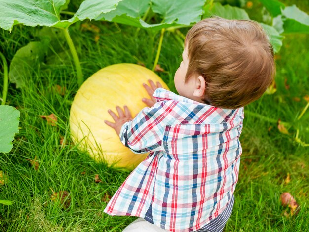 Crianca Brinca Com Uma Abobora Um Menino Maravilhoso Estava Sentado Com Uma Grande Abobora As Criancas Comemoram O Dia Das Bruxas Jovem Agricultor Abobora Jovem Foto Premium