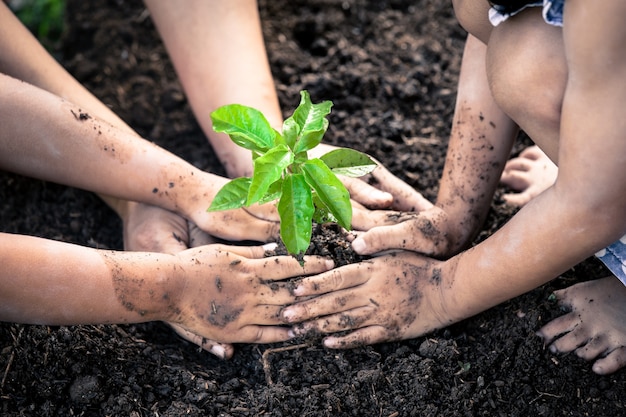 Foto Premium | Crianças e pais plantando uma árvore jovem