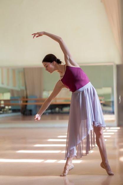 Dançarina De Balé Clássico Posando No Barre Na Sala De Ensaio Foto Grátis 