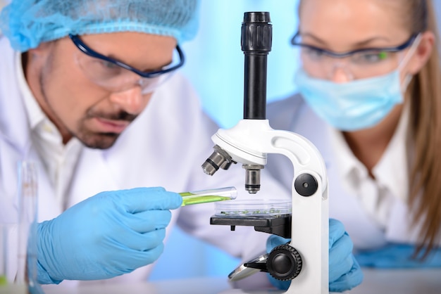 Dois cientistas realizando pesquisas em ambiente de laboratório Foto