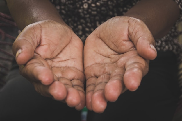 Duas mÃ£os do velho gesto de palma da mÃ£o aberta | Foto Premium