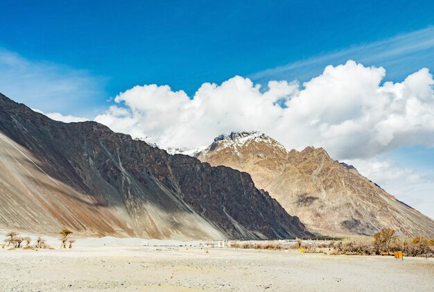 Duna de areia de sobremesa com luz do dia e céu azul nublado, nubra vale em leh ladakh, norte da índia Foto Premium