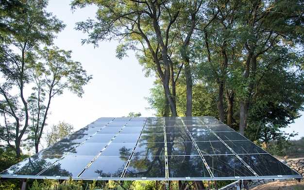 Energia fotovoltaica na usina solar de energia natural. Foto gratuita.