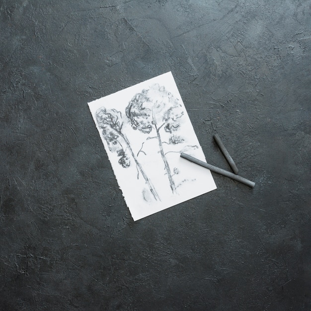 Esboço de linda árvore em papel branco com vara de carvão contra o pano de fundo preto ardósia Foto gratuita