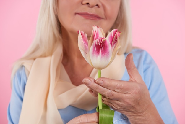 Fechar-se. mulher idosa está cheirando tulipa. Foto Premium