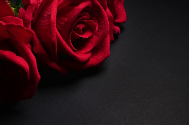 Featured image of post Fundo Preto Com Rosas Vermelhas : Sonhar que você das rosas vermelhas para alguém são significados de amor correspondido.