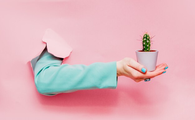 Feminino mão no clássico casaco azul com cactus em pote Foto Premium