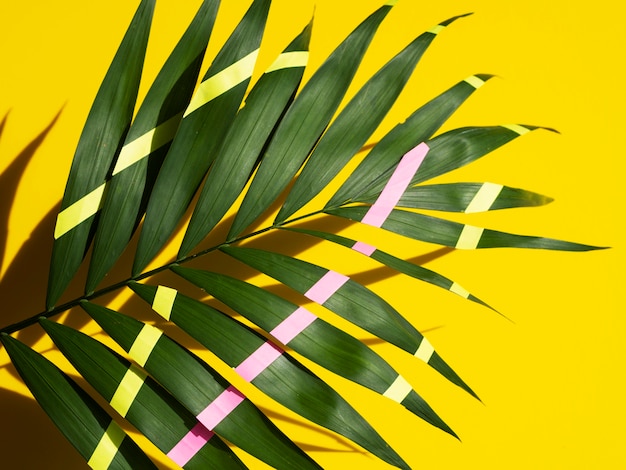 Folhas de samambaia tropical pintadas de verde e rosa com linhas amarelas Foto gratuita