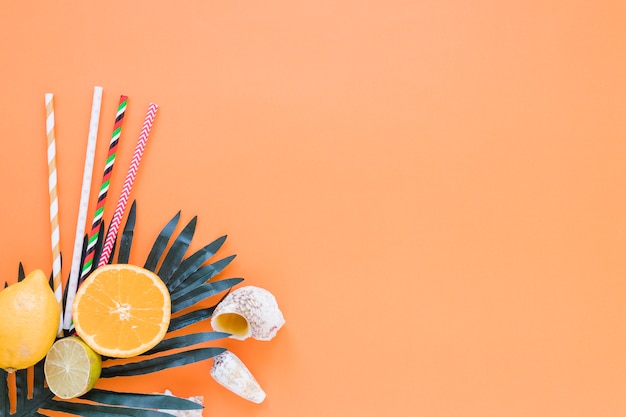 Frutas cítricas com palhas, folhas de palmeira e conchas Foto gratuita
