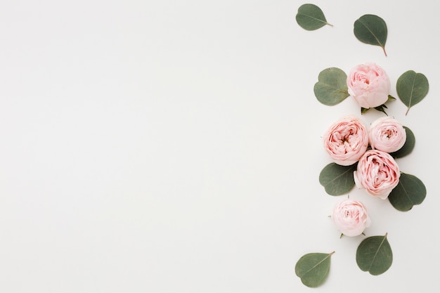 Fundo de espaço branco cópia com arranjo de rosas Foto gratuita