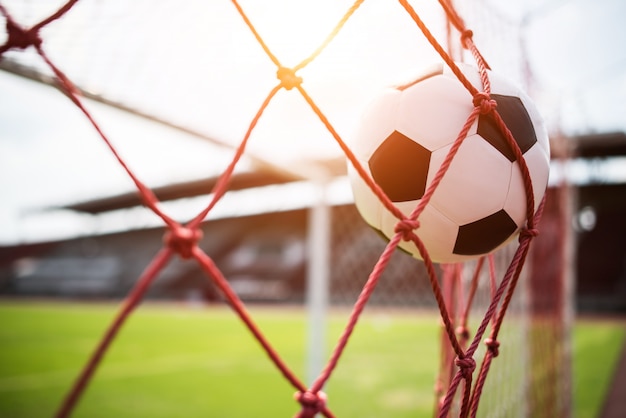 Futebol no conceito de sucesso do objetivo Foto gratuita