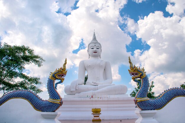 Grande estátua de buda branco e rei de nagas com céu azul wat chom tham em mea em chiang mai, tailândia Foto Premium