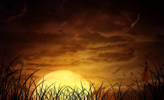 Halloween fundo um amplo campo com a lua em uma noite assustadora Foto Premium