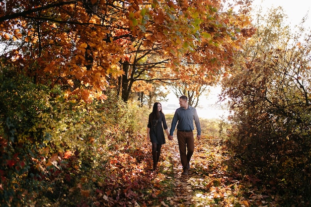 Jovem Casal Apaixonado Uma História De Amor No Parque Florestal De Outono Foto Grátis 