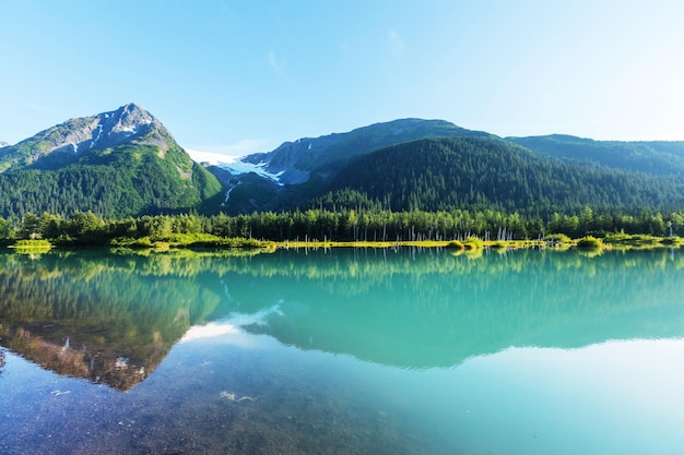 Lago Serenity Na Tundra Do Alasca Foto Premium