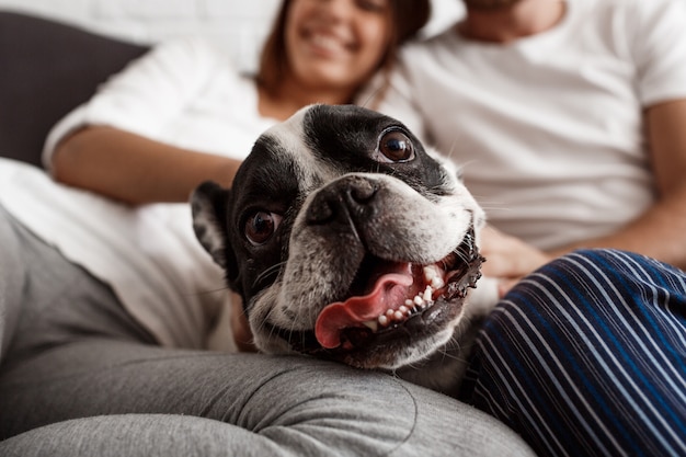 Conheça as 30 frases de cachorro para você demonstrar o seu amor 