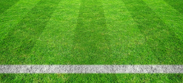 Linha de futebol na grama verde do campo de futebol teste padrão verde