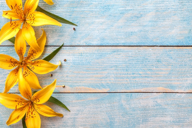 Lírios grandes flores amarelas em fundo azul gasto velho, com espaço de cópia, cartão floral, configuração plana, Foto Premium