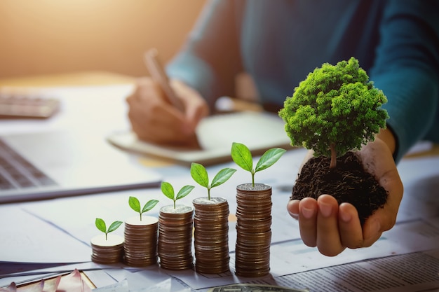 Mão da mulher de negócio que guarda a árvore com a planta que cresce em moedas. conceito de poupar dinheiro e dia da terra Foto Premium