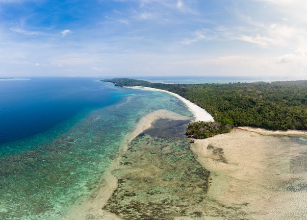 Mar das caraíbas tropical do recife da ilha da praia da vista aérea. arquipélago das molucas da indonésia, ilhas kei, mar de banda. destino de viagem superior, melhor mergulho com snorkel, panorama deslumbrante. Foto Premium