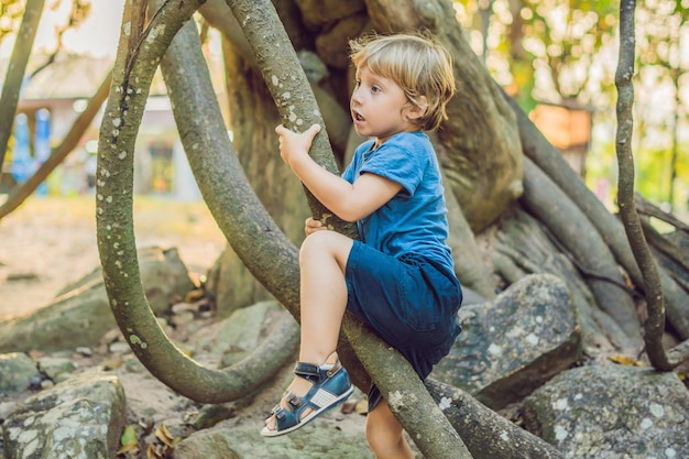 Menino assistindo lianas tropicais em florestas tropicais úmidas