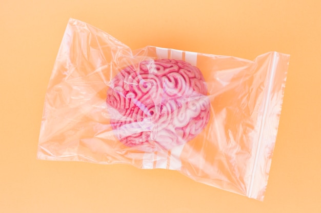 Modelo de cérebro humano-de-rosa no saco plástico em fundo amarelo Foto gratuita