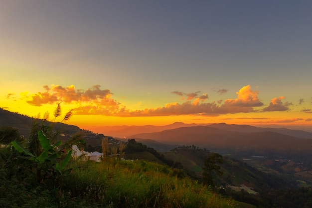 Moita de grama com fundo por do sol, névoa da montanha e nascer do sol no inverno Foto Premium