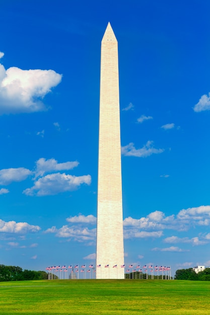 Monumento De Washington E Bandeiras Em Dc Eua Foto Premium