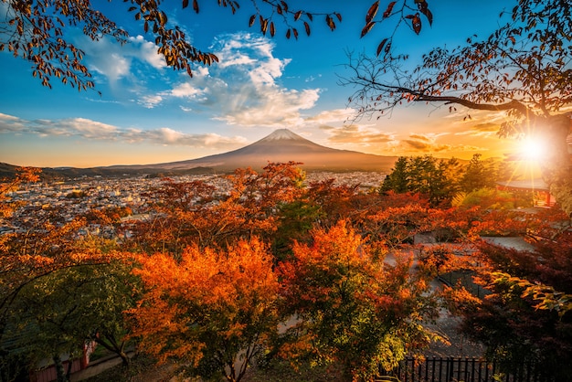 Mt. fuji com a folha vermelha no outono no por do sol em fujiyoshida, japão. Foto Premium