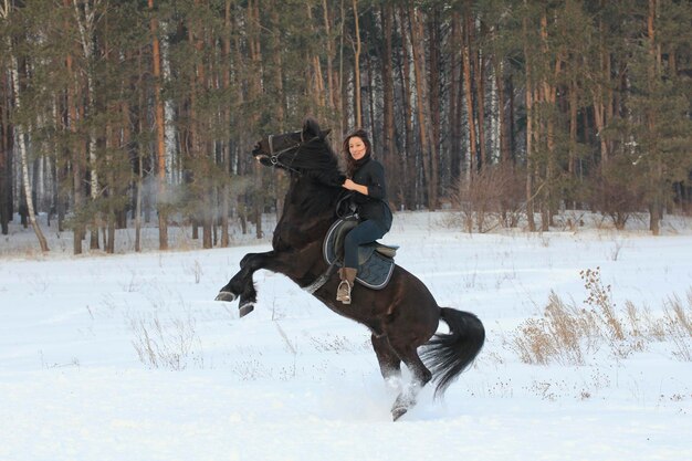 Mulher Jovem Cavalga Em Um Cavalo Preto Em Um Campo Coberto De Neve O