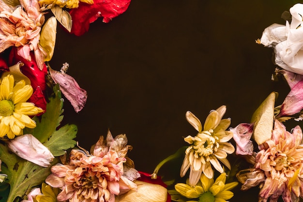 Multi colorido flores na água preta com espaço de cópia Foto gratuita