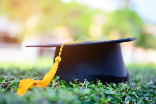 O chapéu preto de graduados universitários é colocado em folhas verdes. Foto Premium