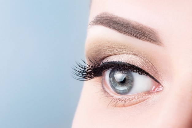 Olhos azuis fêmeas com pestanas longas, close-up bonito da composição. Foto Premium