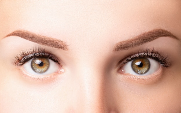 Olhos femininos com cílios longos. clássico 1d, extensões de cílios 2d e sobrancelha castanho claro close-up. extensões de cílios, laminação, biowave, conceito microblading Foto Premium