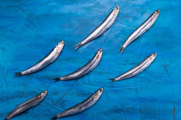 Padrão de peixe. as anchovas estão nadando em um fundo azul do mar. Foto Premium