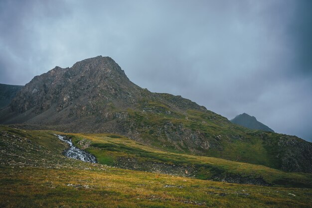 Paisagem alpina atmosférica belo riacho de montanha no vale verde e