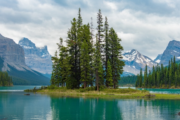 Paisagem da floresta de canadá da ilha do espírito com a montanha grande no fundo, alberta, canadá. Foto Premium
