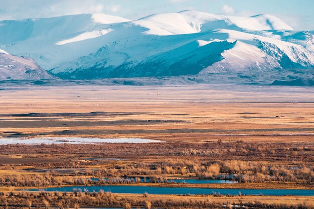 Paisagem incrível da área de estepe com lagos e árvores suavemente se transformando em montanhas com picos cobertos de neve. montanhas de altai Foto Premium
