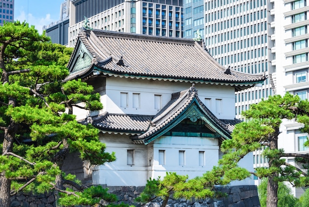 Palácio imperial com a árvore no dia no tóquio, japão. Foto Premium