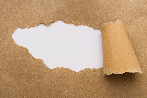 Papel ofício lacerado no quadro branco Foto gratuita