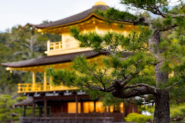 Pavilhao Dourado Templo De Kinkakuji Em Kyoto No Japao Foto Premium