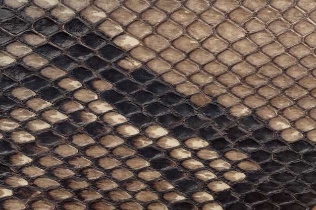 Pele de cobra genuíno, fundo de textura de couro, closeup, Foto Premium