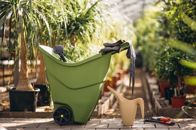 Plantas em estufa com ferramentas agrícolas Foto gratuita