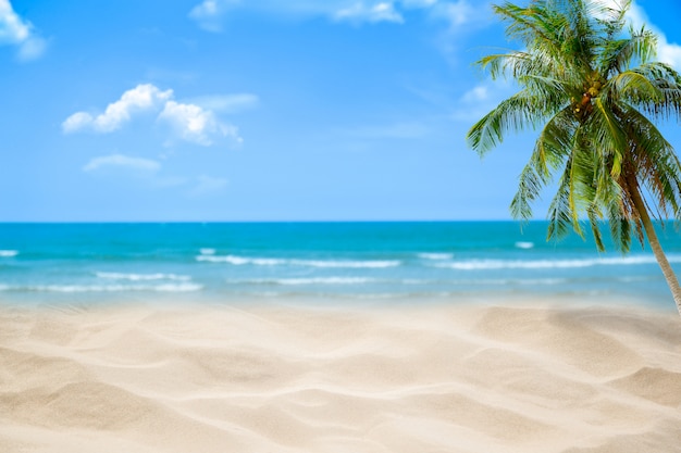 Praia Com Mar Azul Embaçada E Céu Fundo De árvore De Palma Foto Premium 0431