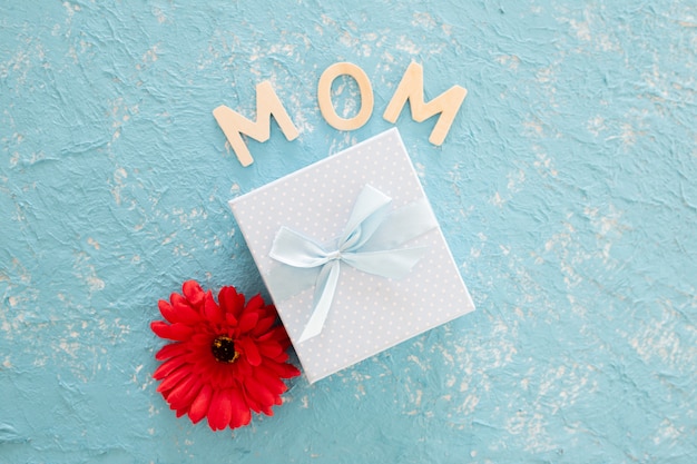 Presente do dia de mães com a flor do redo no fundo claro azul Foto gratuita