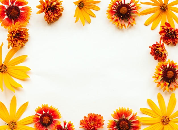 Quadro de flores de outono laranja, amarelas e vermelhas sobre um fundo branco com copyspace Foto Premium