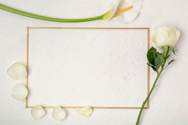 Quadro de rosa e lírio de calla com pétalas Foto gratuita