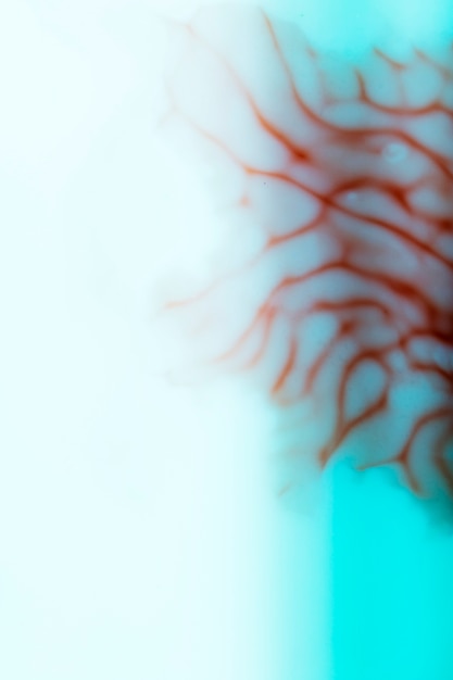 Resumo de desfocado close-up de veias humanas Foto gratuita